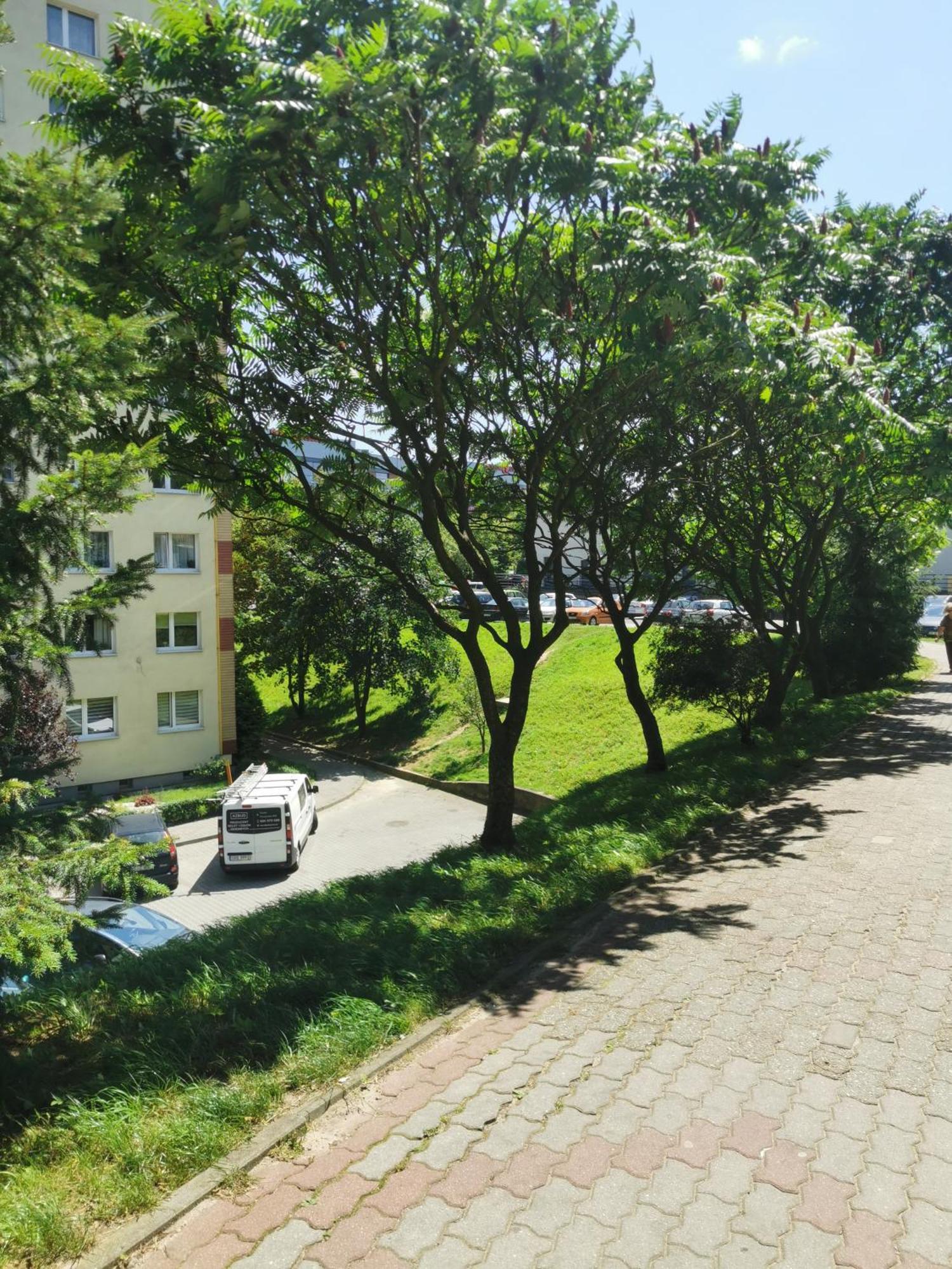 Przytulne Mieszkanie W Centrum Jastrzebie Zdroj Exterior photo